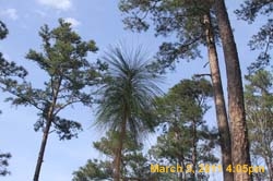 IMG_0777