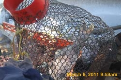 IMG_0979