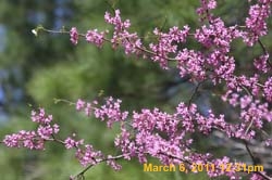 IMG_1218