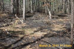 IMG_1430