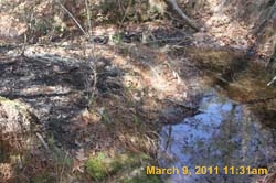IMG_1473