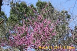 IMG_1665