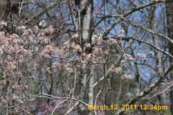 IMG_1706