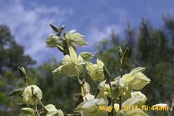 IMG_3685