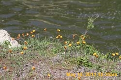 IMG_3794