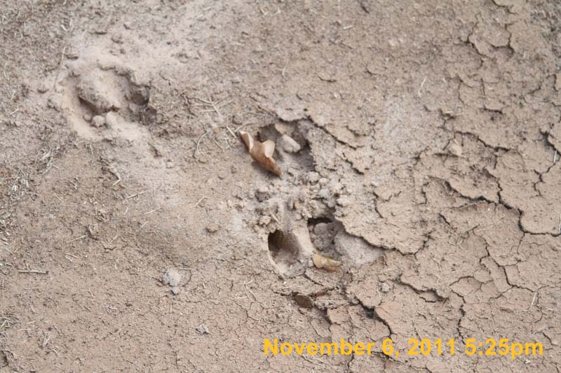 IMG_4414