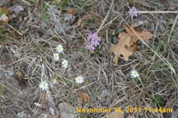 IMG_4535