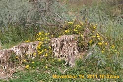 IMG_0181