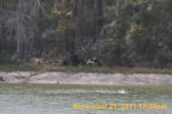IMG_0191