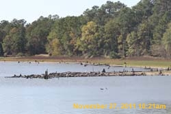 IMG_0250