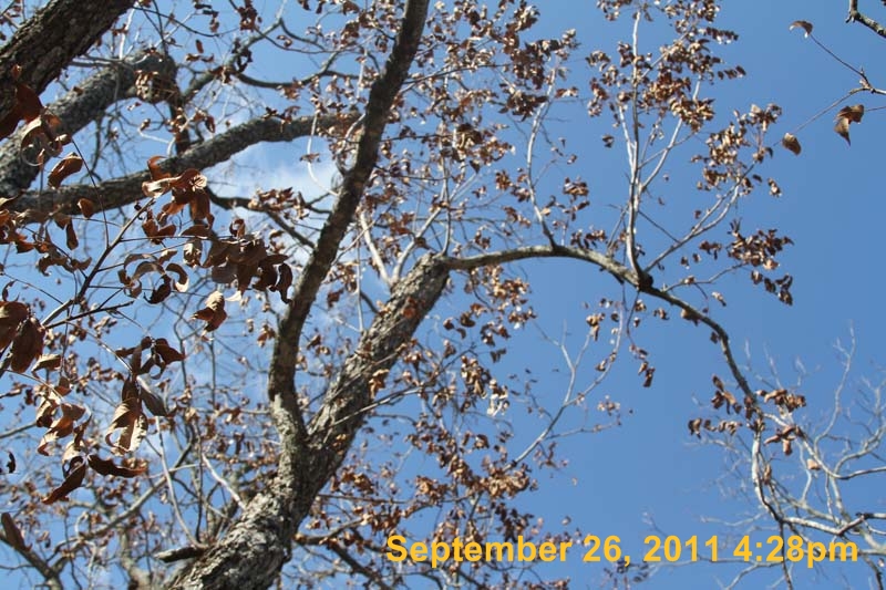 IMG_4066