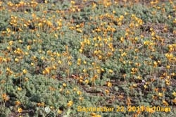 IMG_3956