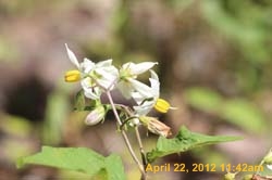 IMG_0524