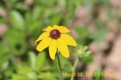 IMG_0535