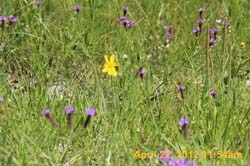 IMG_0548