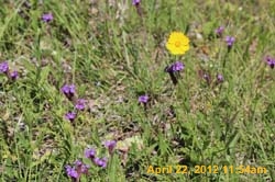 IMG_0549