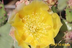 IMG_0579