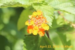 IMG_0597
