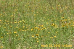 IMG_0626