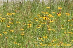 IMG_0628