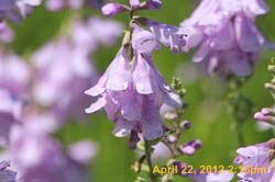 IMG_0632