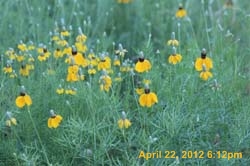 IMG_0639