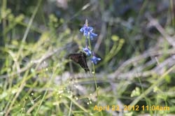 IMG_0675
