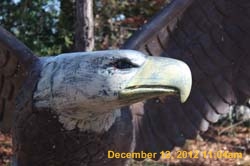 IMG_4613