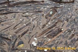 IMG_0869