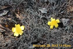 IMG_1451