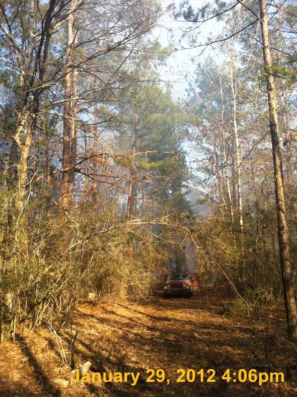 IMG_1153