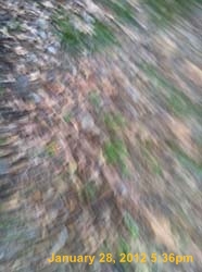 IMG_1131