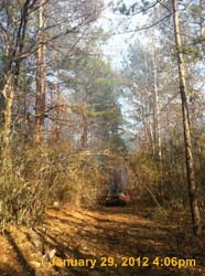 IMG_1152