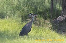 IMG_1047