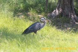 IMG_1048