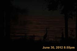 IMG_1080