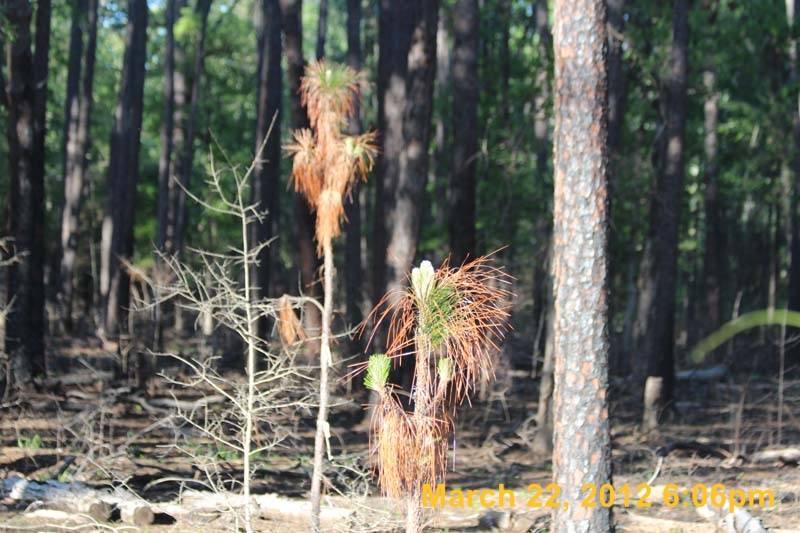 IMG_0257