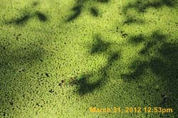 IMG_0305