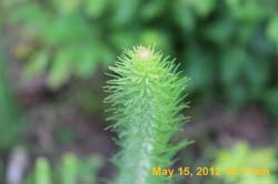 IMG_2293