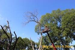IMG_2414