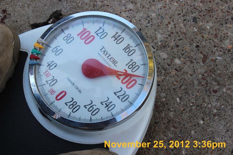 IMG_4116