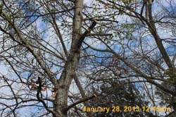 IMG_5036