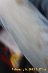 IMG_5279