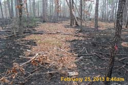 IMG_5423