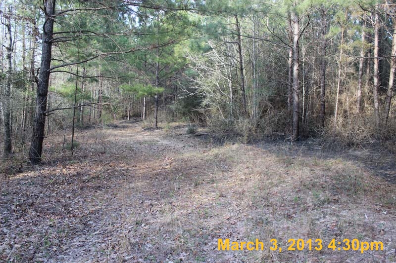 IMG_5851