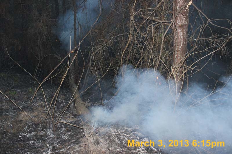 IMG_5929