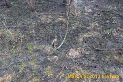 IMG_5896