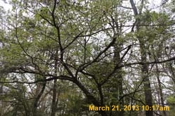 IMG_6192