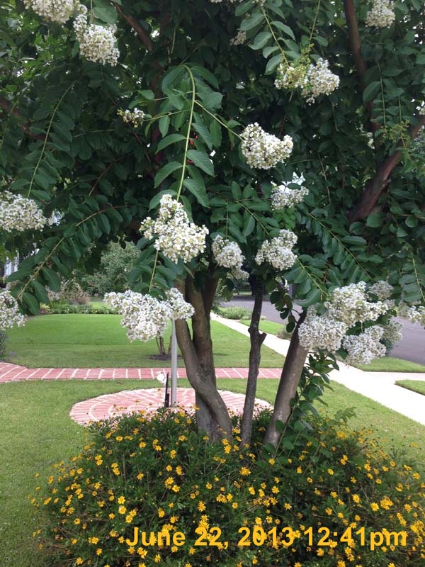 IMG_0346