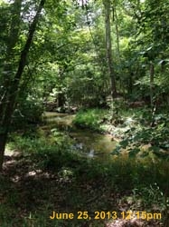 IMG_0438